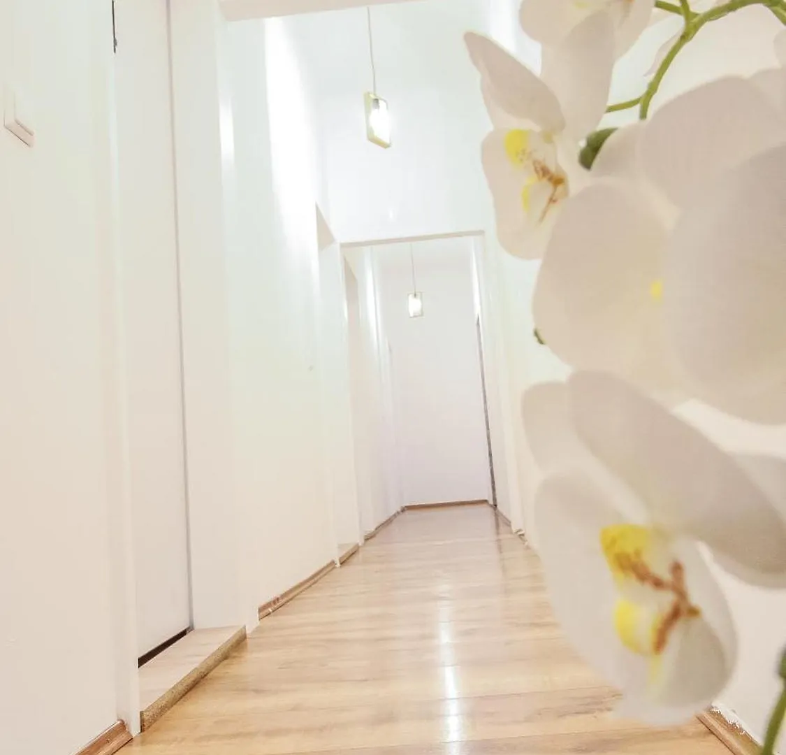 Comfortable Accommodations In The Alterlaa Area Lv6 Vienna Austria