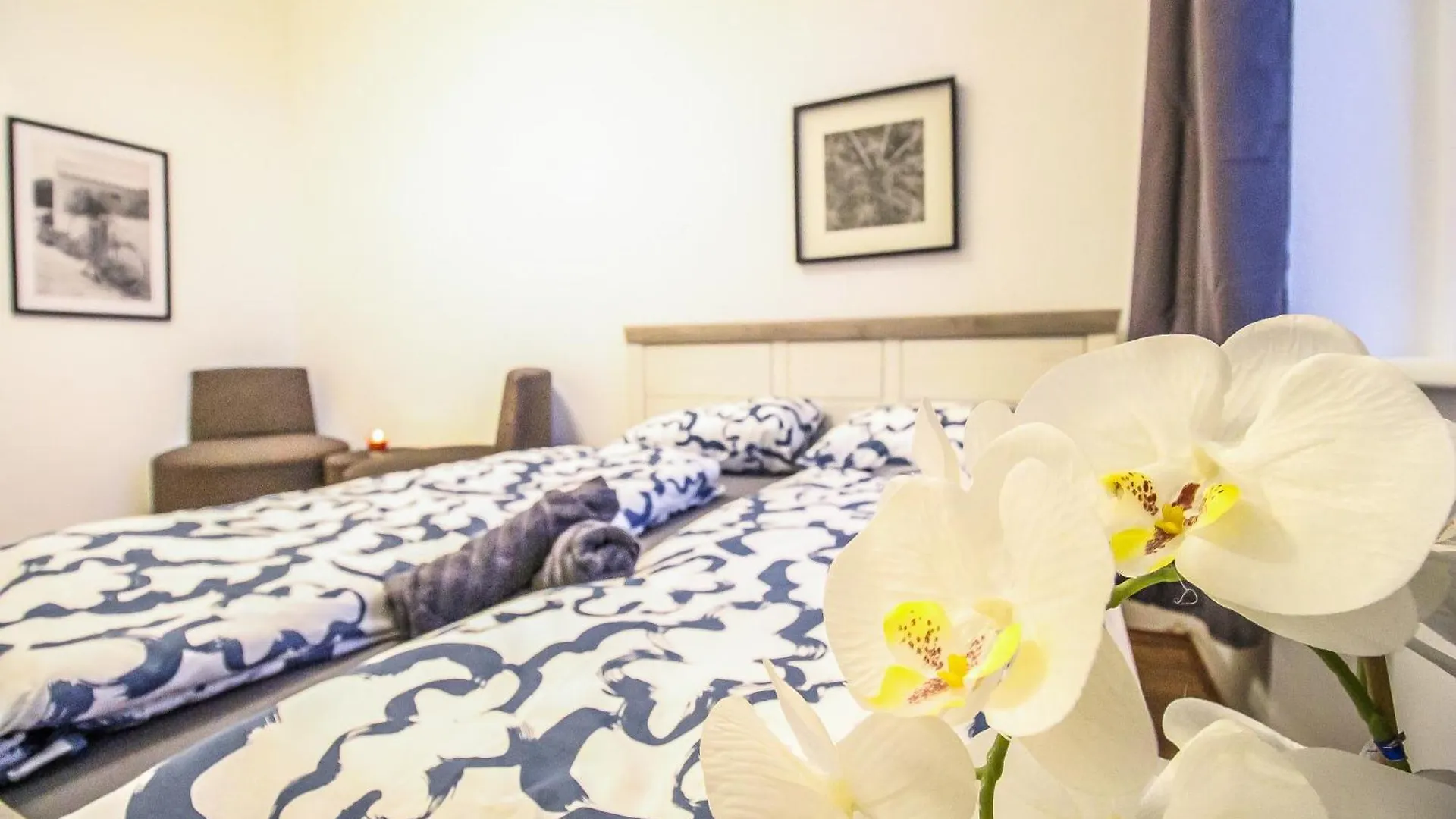 Comfortable Accommodations In The Alterlaa Area Lv6 Vienna Homestay
