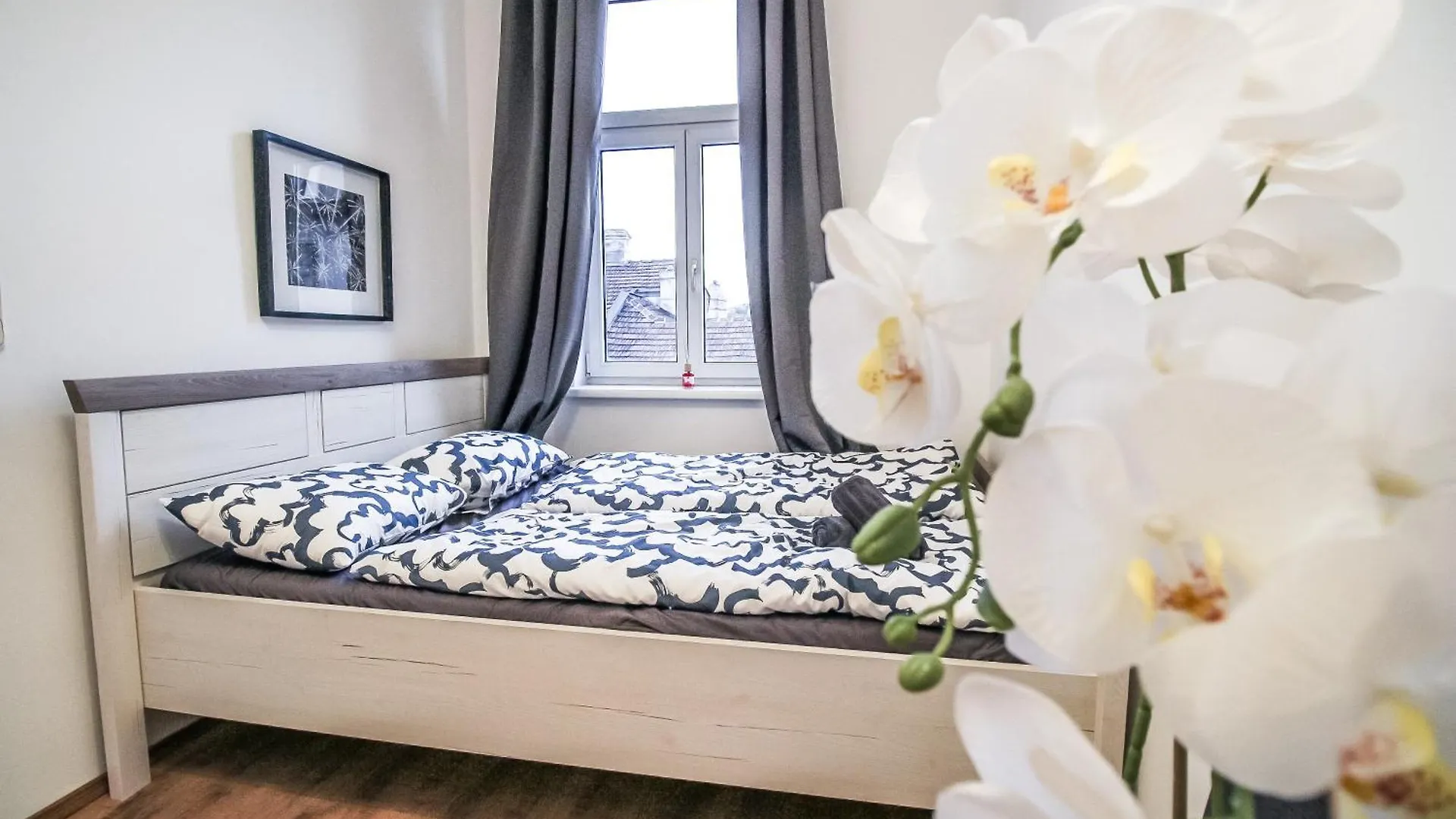 Homestay Comfortable Accommodations In The Alterlaa Area Lv6 Vienna