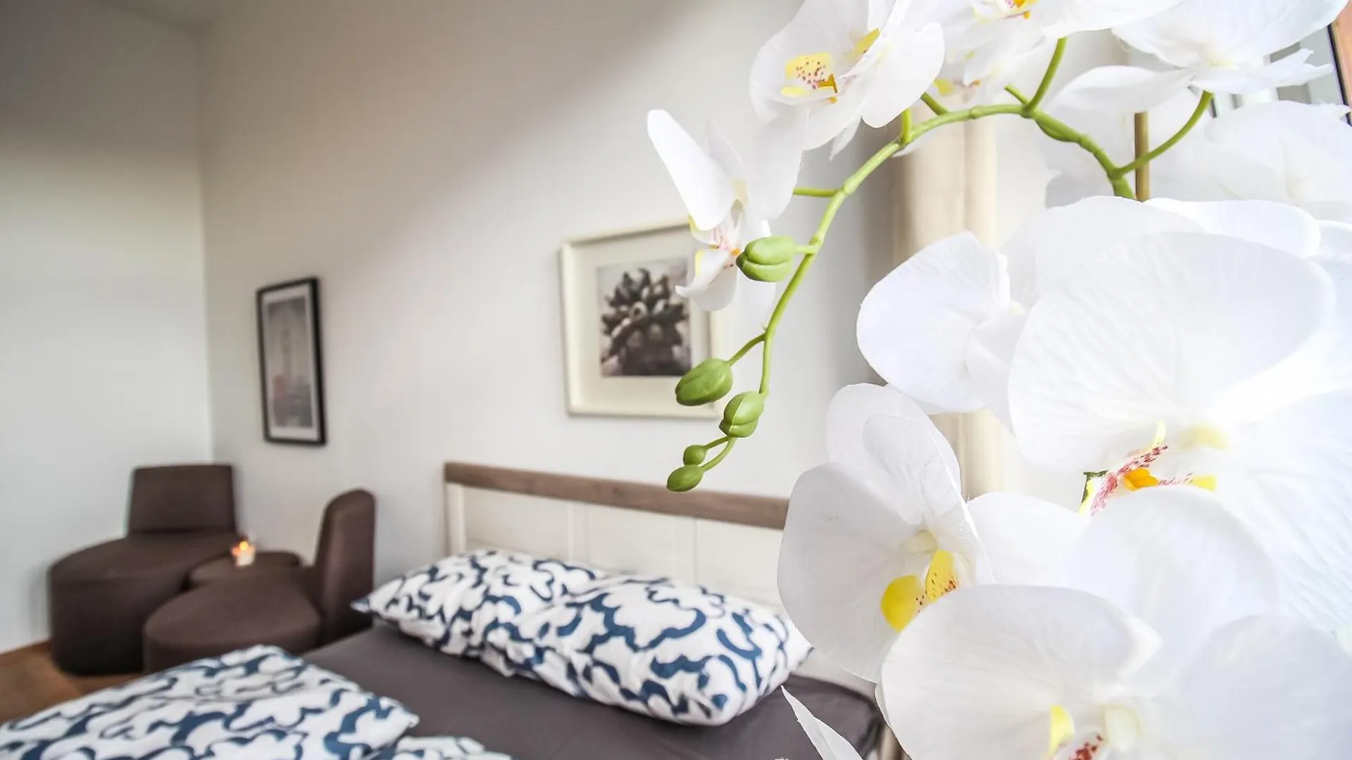 Homestay Comfortable Accommodations In The Alterlaa Area Lv6 Vienna
