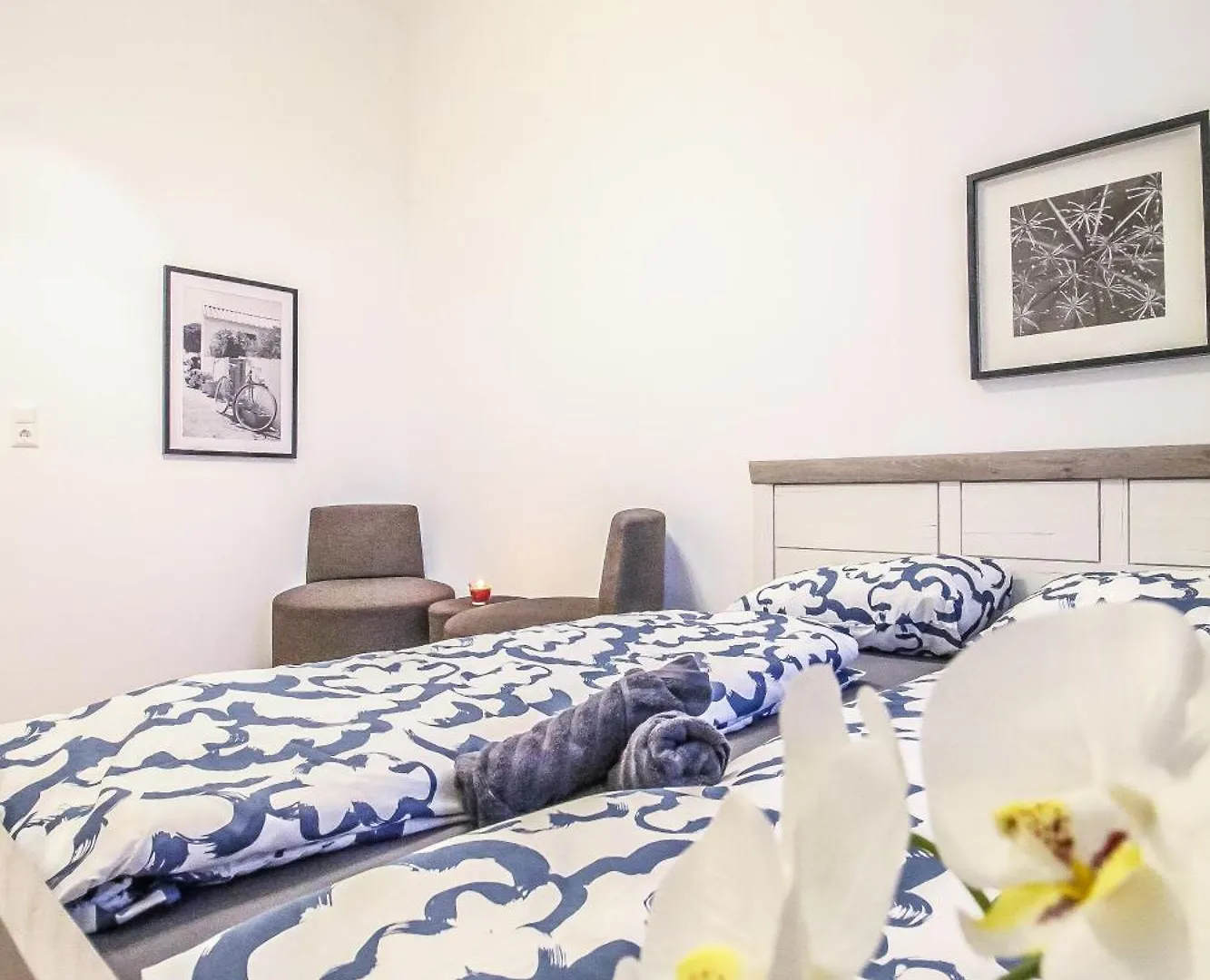 Homestay Comfortable Accommodations In The Alterlaa Area Lv6 Vienna